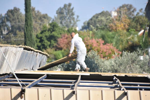 Spring Roofing Replacement: Ensuring Your Home’s Safety and Comfort